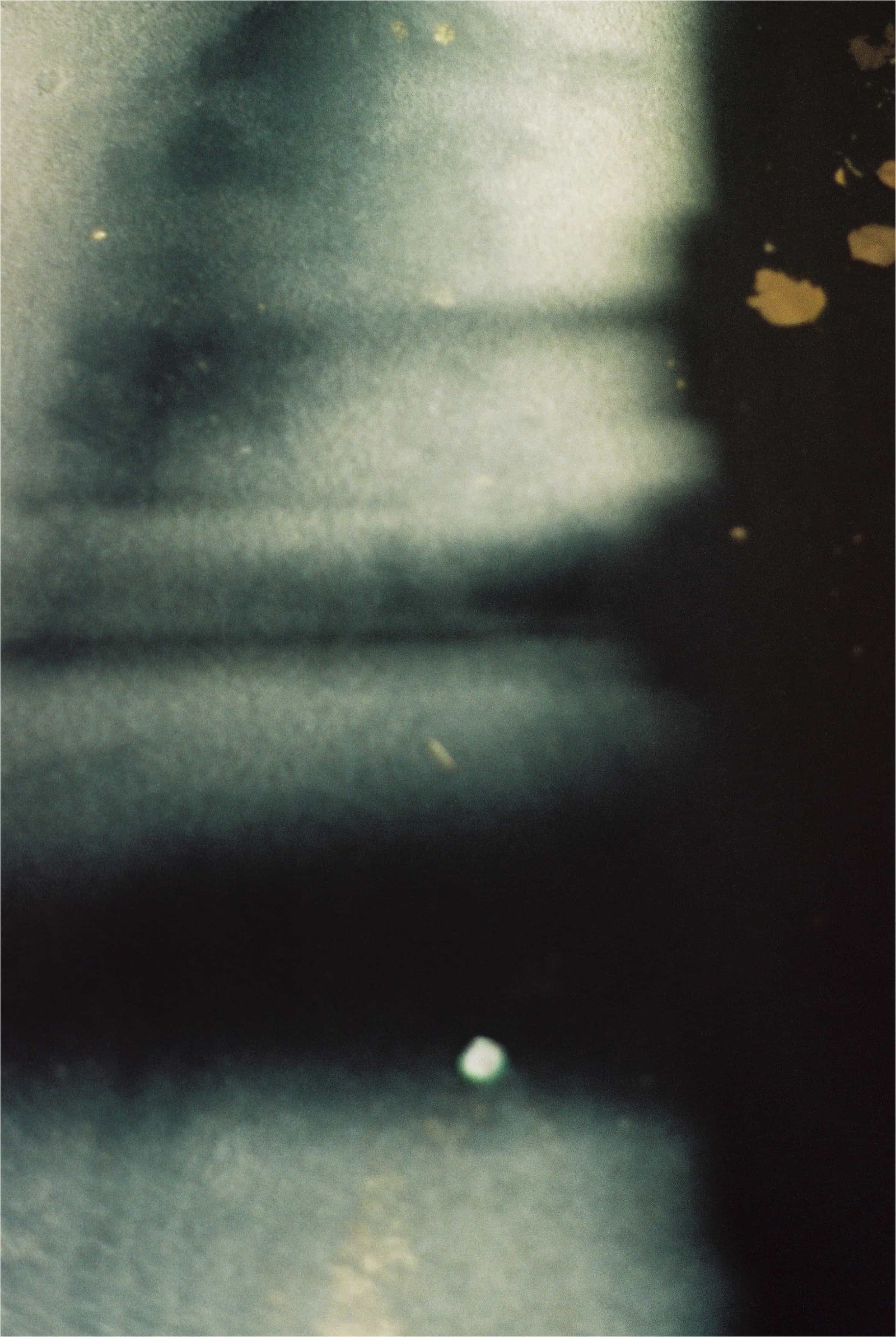 nina kirste