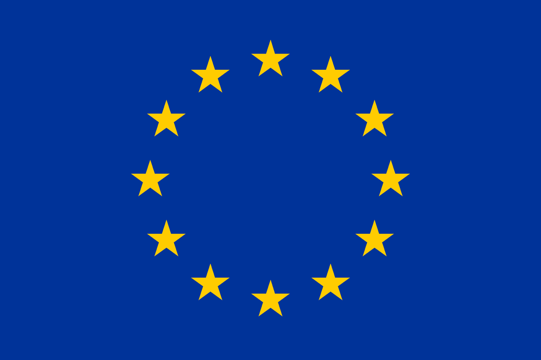 flag of the european union