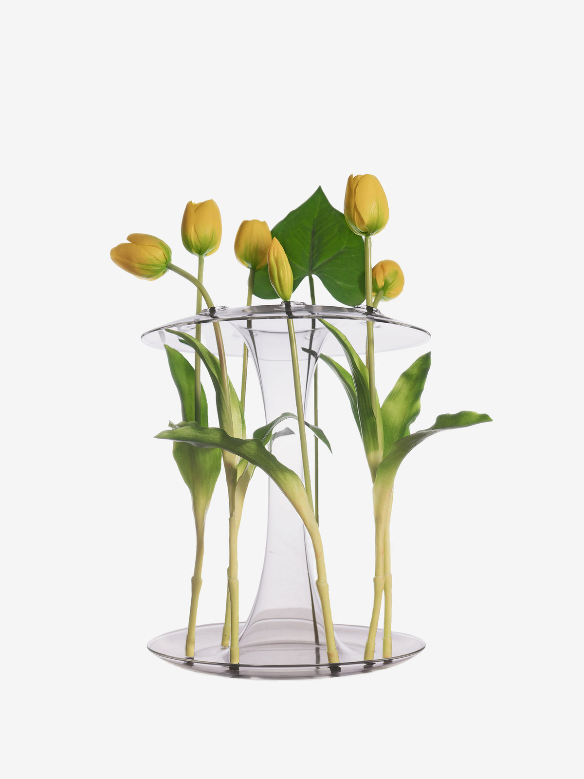 aqua — KANZ · collectible design at spazio