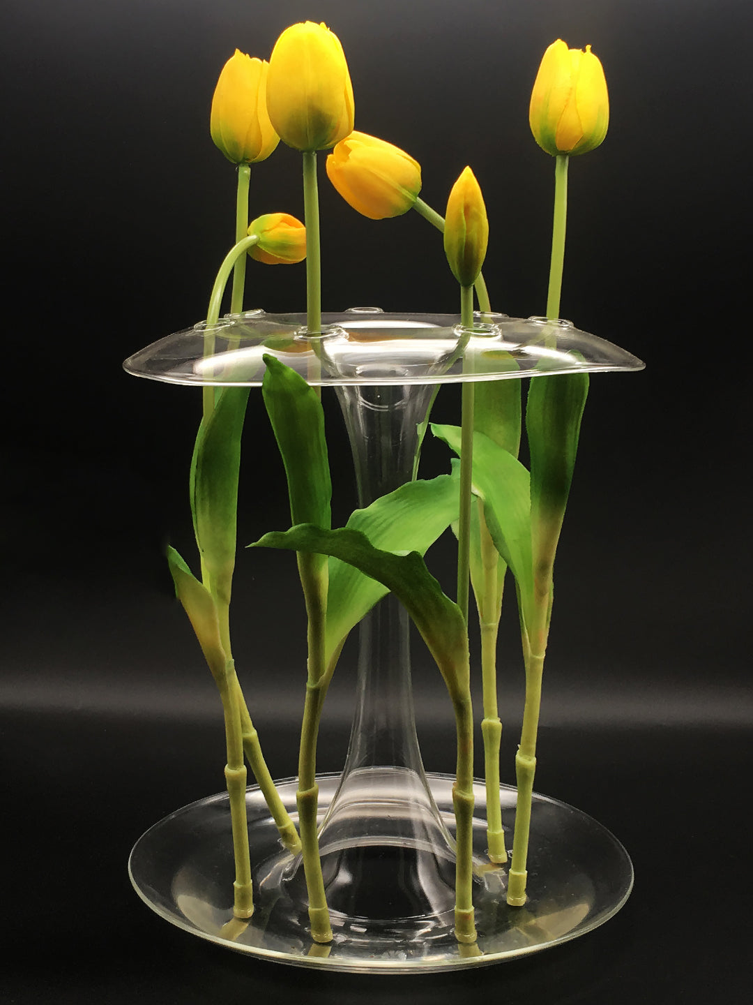aqua — KANZ · collectible design at spazio