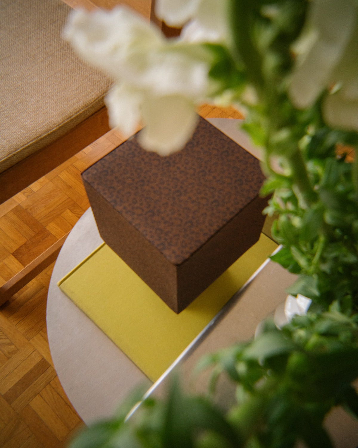 la petite boîte — jacq brown & black leopard #jacq_brown_&_black_leopard