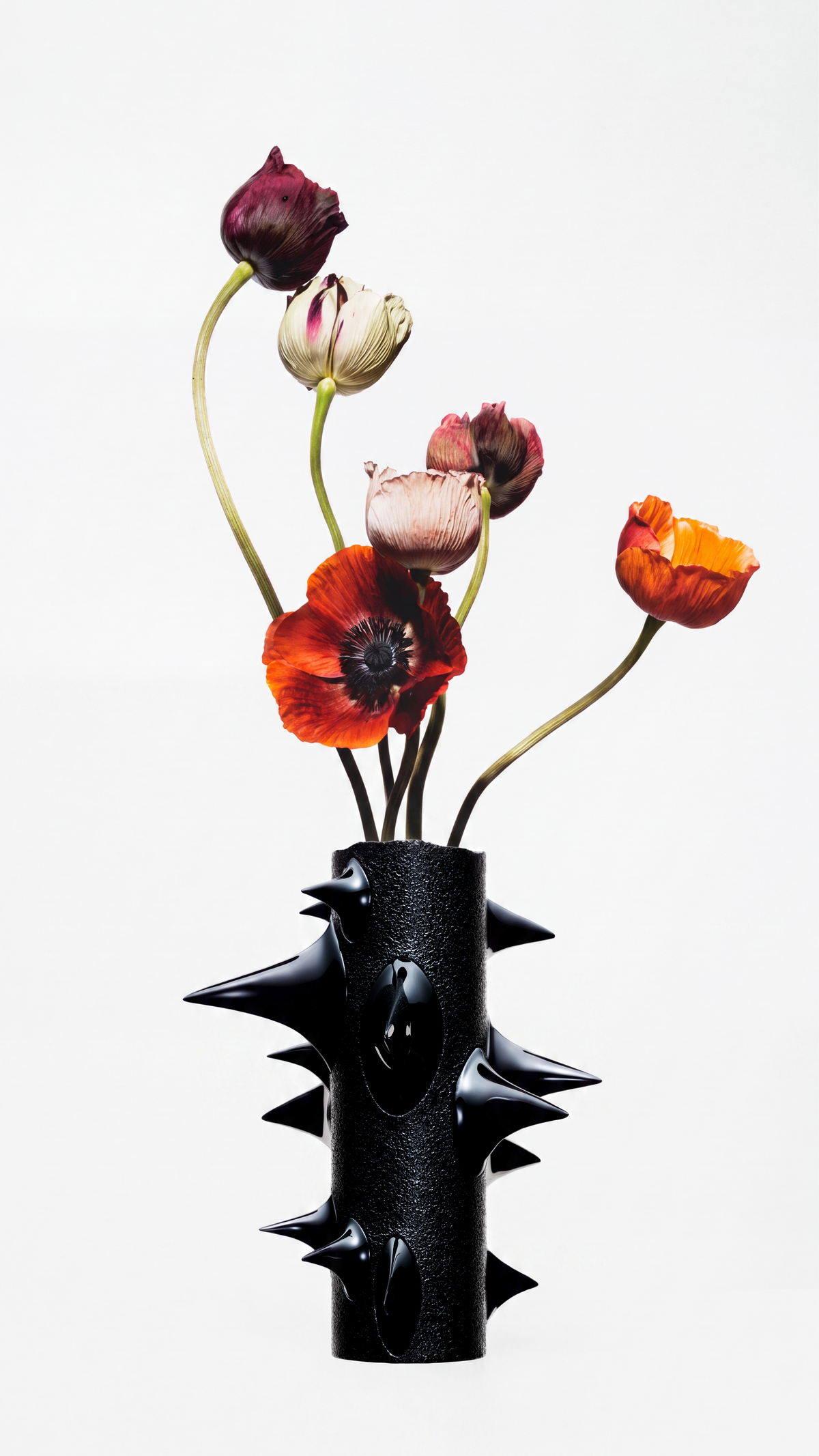 stem vase — Gast Studio · collectible design at spazio