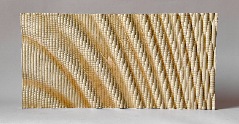 metapattern — amber speckle study
