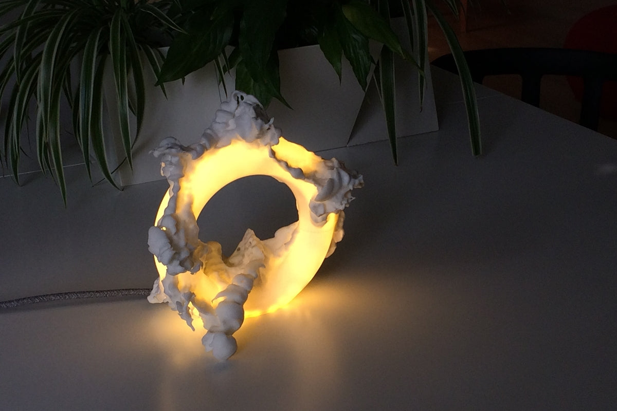 FERAL lamp / ARTWORK
