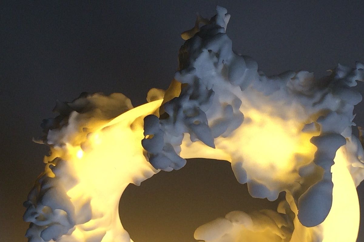 FERAL lamp / ARTWORK