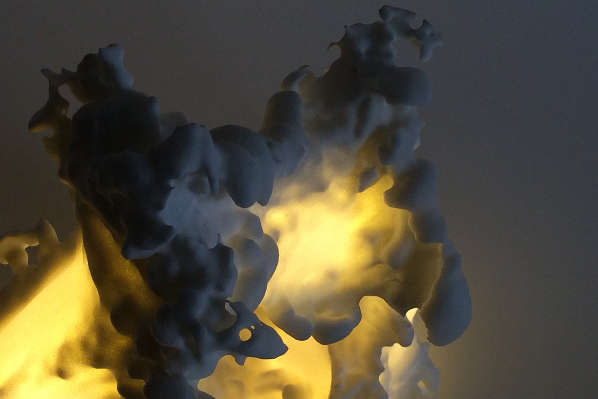 FERAL lamp / ARTWORK